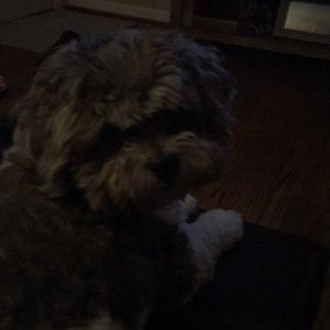 Meet your Posher, Marcie